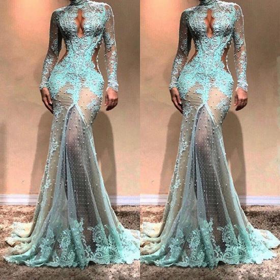 Gorgeous Long Sleeve Mermaid Evening Dress | Lace Formal Dress_3