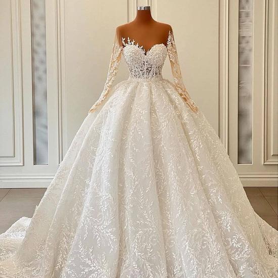 Luxurious Long Sleeve Lace Ball Gown Wedding Dresses_2