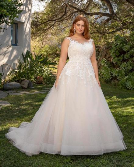 Modest Sleeveless Tulle V-neck Plus size Ivory Summer Wedding Dress with Appliques_3