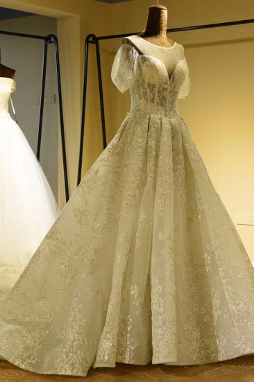 Gorgeous Short Sleeve Lace Tulle Princess Ivory Wedding Dress Online_4