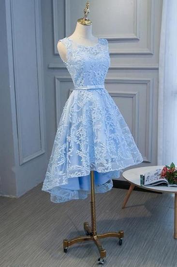Hi-lo Homecoming Dress Short Sky Blue Sleeveless Floral Appliques A-line Mini Dress