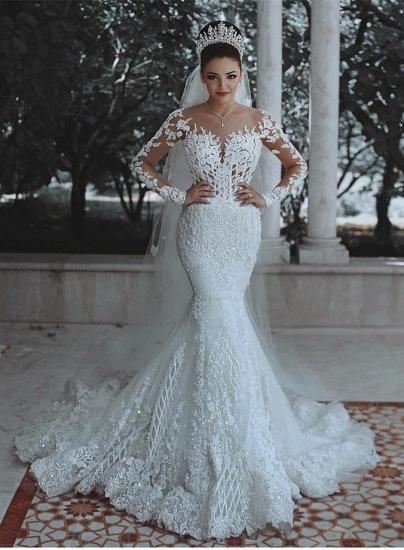 Glamorous Long Sleeve Lace Wedding Dress Mermaid Designer Bridal Gowns Online_1