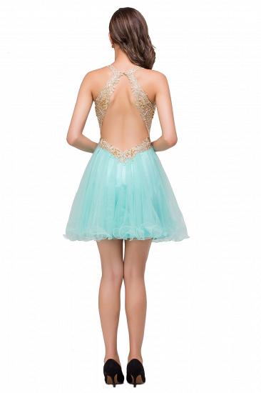 Short Tulle A-line V-Neck Appliques Sleeveless Prom Dress On Sale_6
