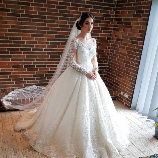 Gorgeous Floral Lace Long Sleeves Bridal Dresses Wedding Dress Aline for Bride_2