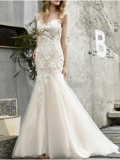 Mermaid Wedding Dress V-neck Lace Tulle Sleeveless Bridal Gowns Formal Illusion Detail with Sweep Train