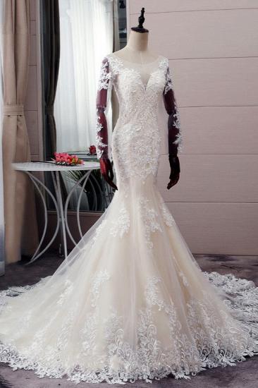 Autumn Long sleeves Mermaid Lace appliques Ivory Wedding Dress_3