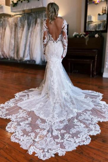 Vintage Hochzeitskleid A-Linie Spitze | Brautkleider mit Ärmeln_3