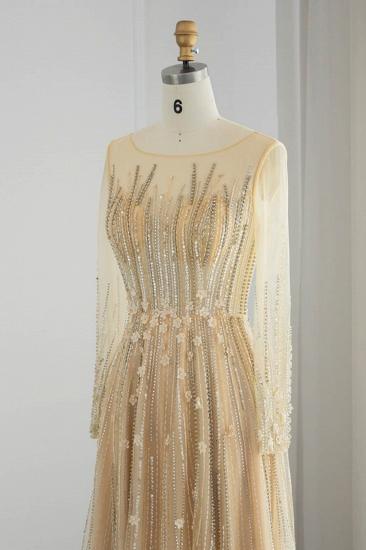 Erstaunliches Juwel-Pailletten-Abendkleid mit langen Ärmeln und Tüll-Aline-Abendkleid_3