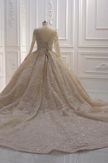 Sparkle Lace Long sleeves Champange Luxury corset Wedding Dress_4