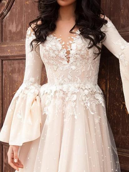 A-Line Wedding Dresses V-Neck Chiffon Lace Tulle Long Sleeve Bridal Gowns Formal Court Train_3