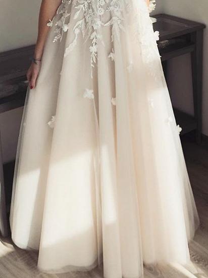 Country A-Line Wedding Dress Plunging Neck Lace Tulle Sleeveless Sexy See-Through Plus Size Bridal Gowns_3