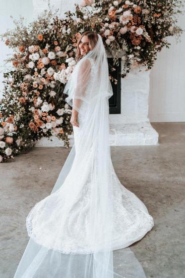 Designer Wedding Dresses V Neckline | Wedding dresses mermaid lace_3