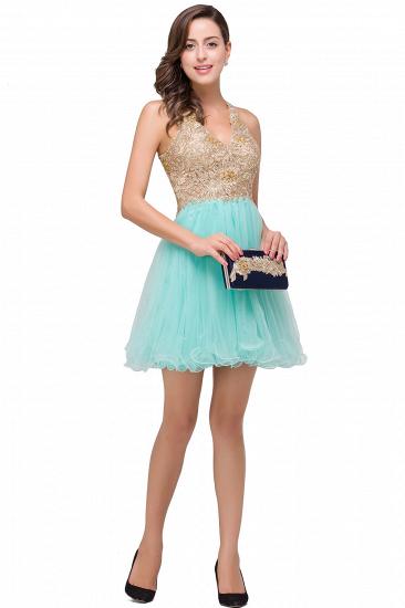 Short Tulle A-line V-Neck Appliques Sleeveless Prom Dress On Sale_5