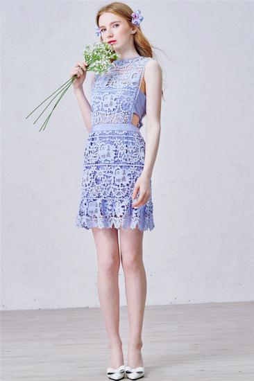Lavender Short Lace Homecoming Dress 2022 Summer Party Dress for Cocktail_2