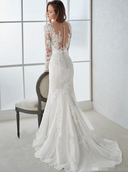 Country Mermaid Wedding Dress V-Neck Lace Tulle Long Sleeves Bridal Gowns with Sweep Train_3