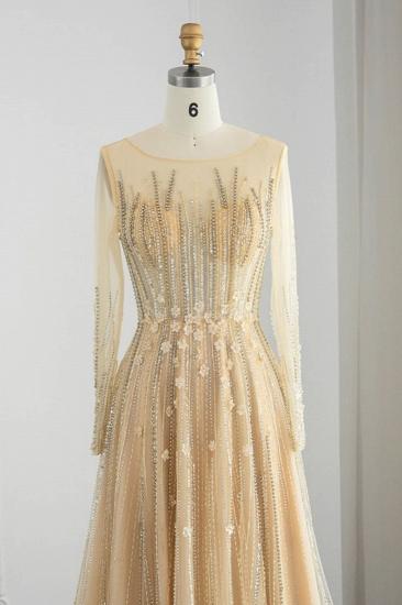Erstaunliches Juwel-Pailletten-Abendkleid mit langen Ärmeln und Tüll-Aline-Abendkleid_4