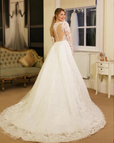 Luxury Long Sleeves V-neck Lace Royal Wedding Dress with Overskirt_2