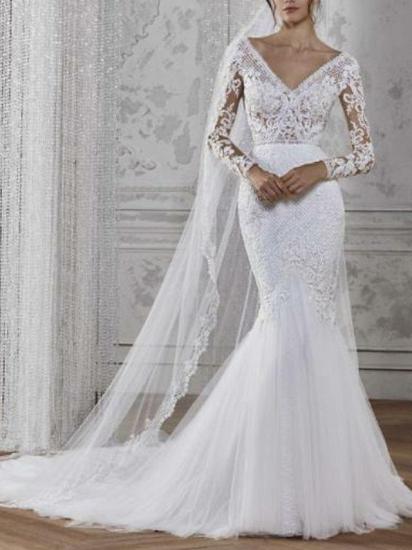 Boho Mermaid Wedding Dresses V-Neck Lace Tulle Long Sleeve Bridal Gowns Illusion Sleeve Bridal Gowns Court Train