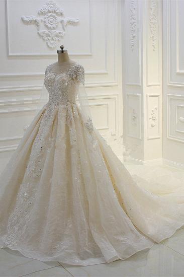 Luxury Ball Gown Long Sleeves Lace Applqiues Beadings Wedding Dress_3