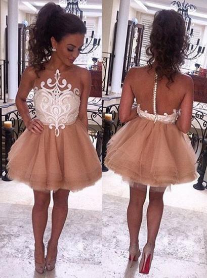 Sheer Tulle Appliques Champagne Homecoming Dresses 2022 Cheap Short Evening Dress_1