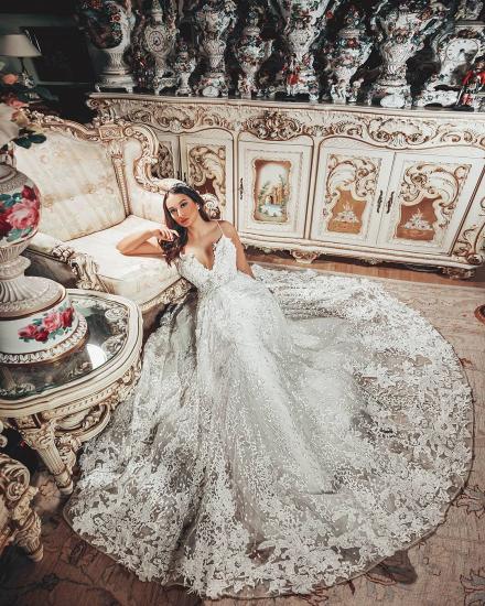 Elagent 3D Floral Lace Aline Simple Wedding Dress_5