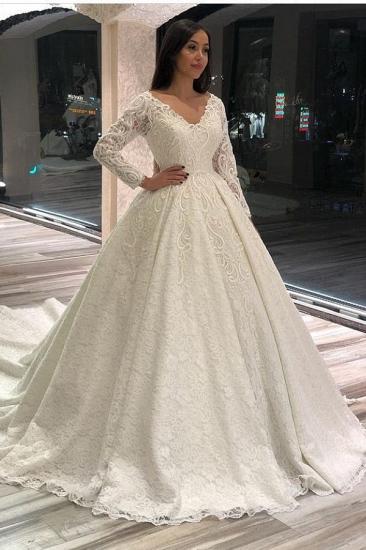 Elegant Long Sleeve Wedding Dress V-Neck Aline Bridal Dress_1