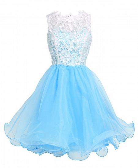 Elegant A-Line Short Lace Organza Summer Homecoming Dress_1