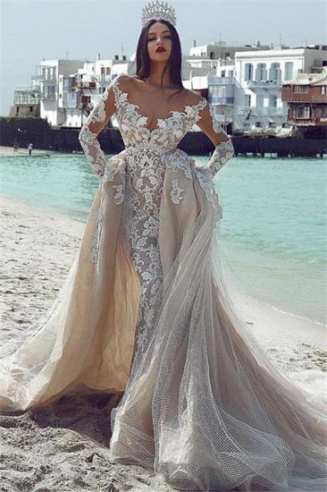 2022 Long-Sleeves Appliques Charming V-Neck Wedding Dresses | Detachable Tulle Dresses_1