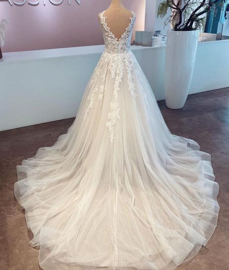 Elegant V-Neck Lace Wedding Dress Appliques_2